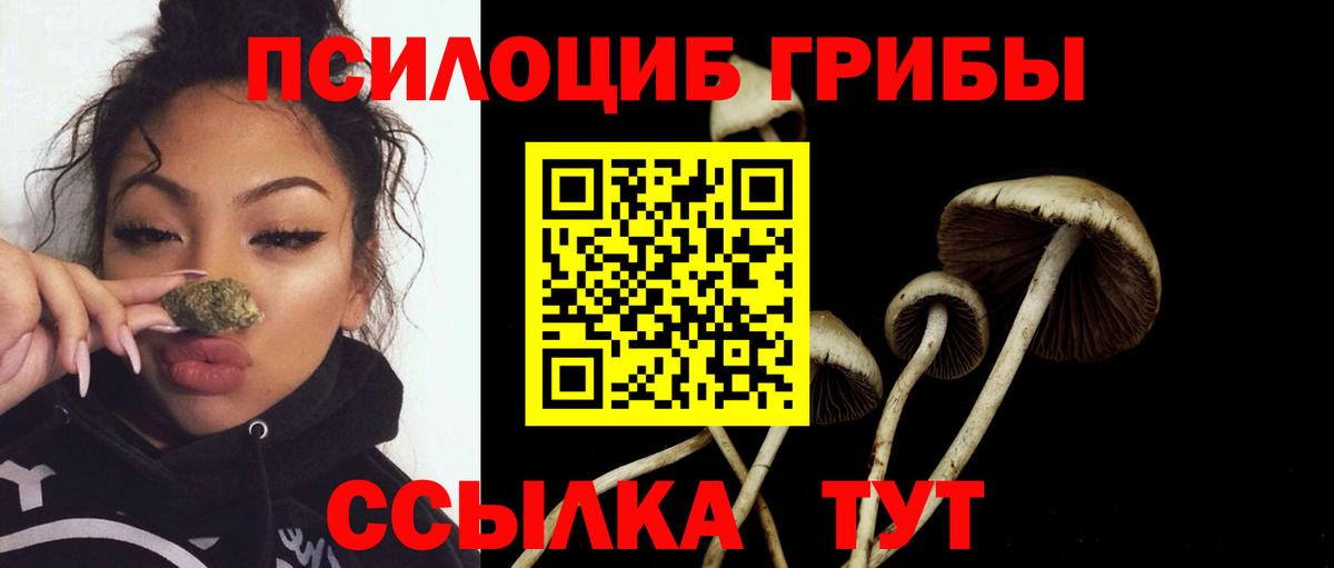Боровичи  Галлюциногенные грибы GOLDEN TEACHER  Вход с VPN  Галлюциногенные грибы Psilocybe 